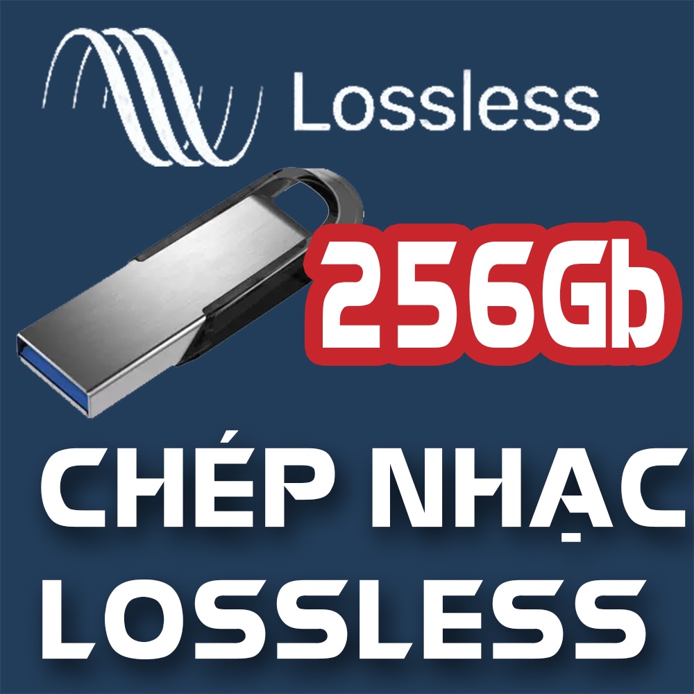 Chép nhạc chất lượng cao  - Bán kèm thiết bị lưu trữ USB