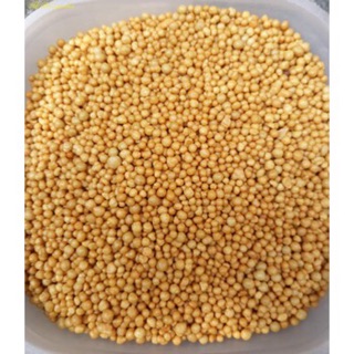 100g Phân bón vàng Tan chậm Thái Lan
