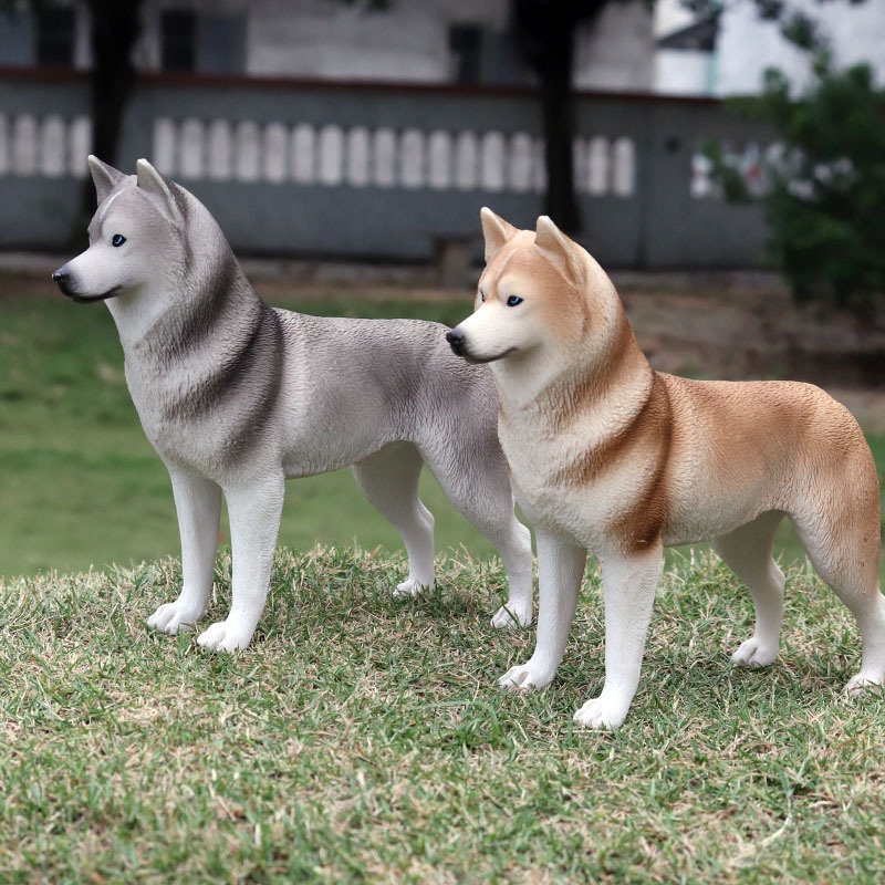 1053 Mô hình chó Husky siêu đẹp