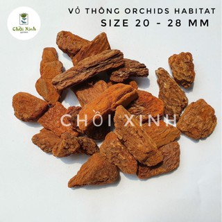 500g Vỏ thông size 20-28mm Vỏ thông trồng lan