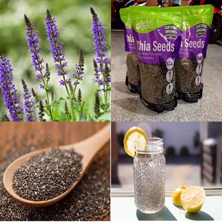 chia uc 1kg bich tim loai 1 date 12 2023 | BigBuy360 - bigbuy360.vn