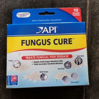 Ngăn ngừa nhiễm nấm api fungus cure