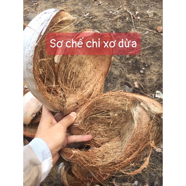 Vỏ dừa khô tách gáo
