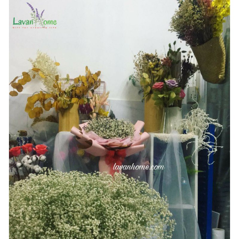 Bó hoa baby phối hoa khô Lavender Pháp - Quà tặng sinh nhật, tốt nghiệp, các dịp lễ