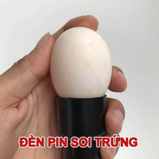 Đèn Pin Soi Trứng – LED siêu sáng, dùng pin tiểu