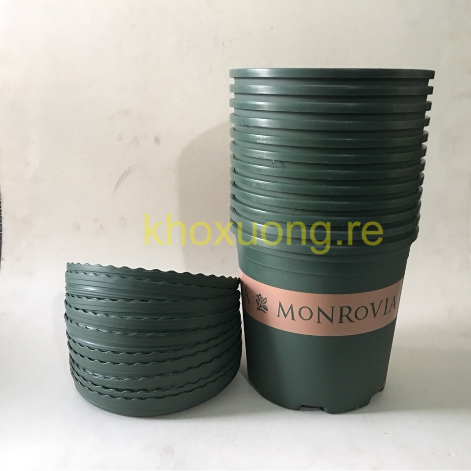 10 Bộ Số 2 Chậu Nhựa Gallon, Chậu Nhập Khẩu MonRovia (2Gallon= 22.5x21cm)