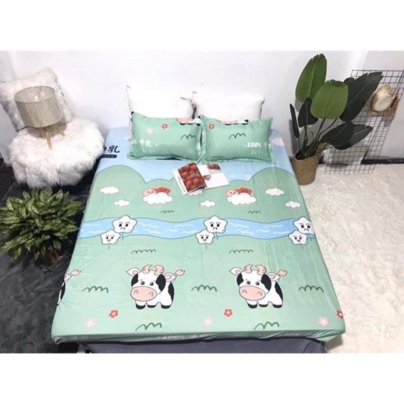 Bộ ga gối poly cotton nhiều mẫu lựa chọn mới nhất năm 2020 đẹp suất sắc đầy đủ kích thước mẫu đủ màu sắc