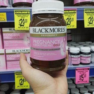 Blackmore bầu