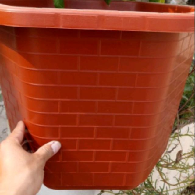 Chậu nhựa lục giác trồng cây, hoa (30cmx20cm và 32x20cm)