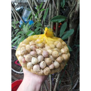 1kg tỏi cô đơn ta