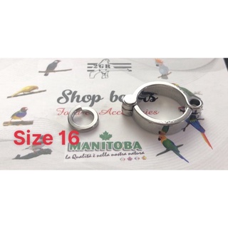 Vòng chân INOX 316 cao cấp dùng cho vẹt có đủ size