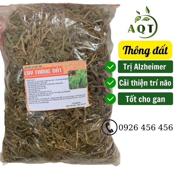 Cây Thông Đất (500g) Tốt Cho Người Teo Não, Sa Sút Trí Tuệ (Alzheimer), Thông Đất Khô Sạch, Hàng Tốt