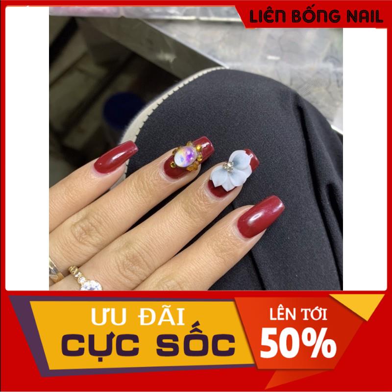 Hoa cúc nhọn - Hoa bột nail