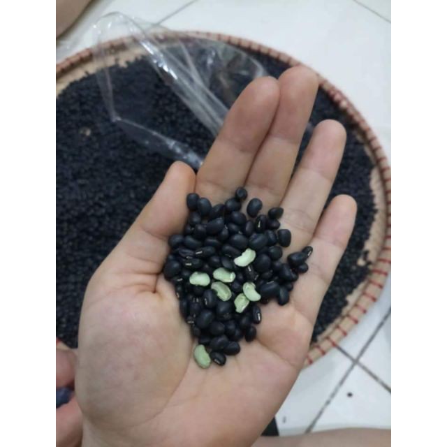 1kg Trà đậu đen xanh lòng chuẩn thơm ngon (rang chín hãm nước) - Healthy