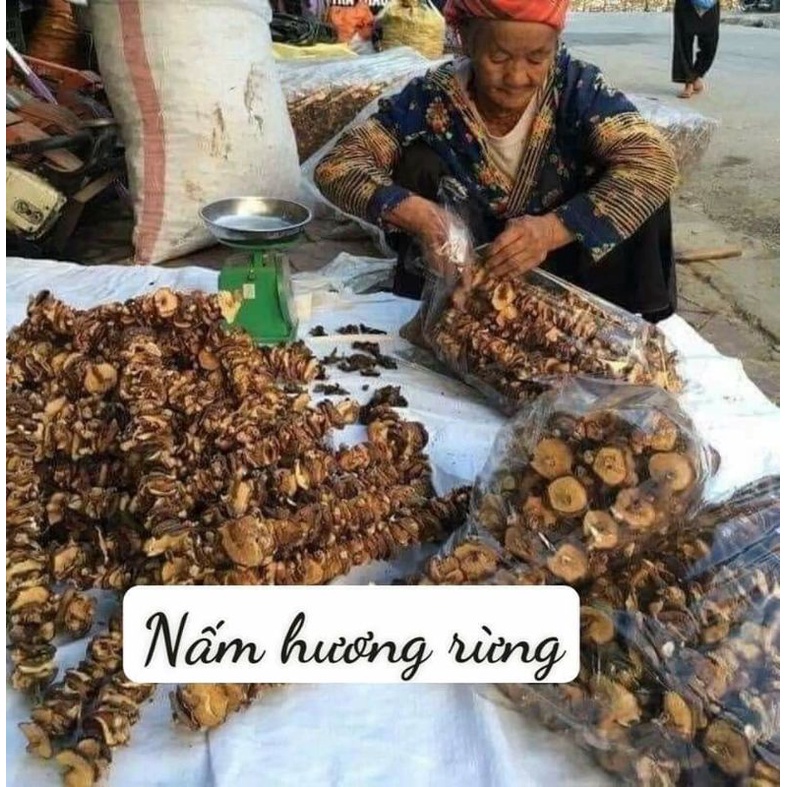🍀HÀNG TỐT🍀 Nấm hương rừng xiên loại 1