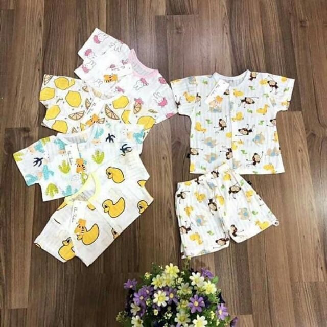 Combo bộ cotton giấy