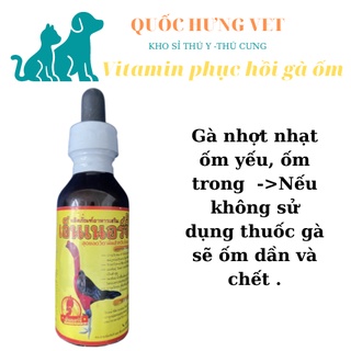 Vitamin Gà ốm trong- tem vàng- phục hồi gà ốm trong nhợt nhạt,nuôi kích lực - Quốc Hưng Vet
