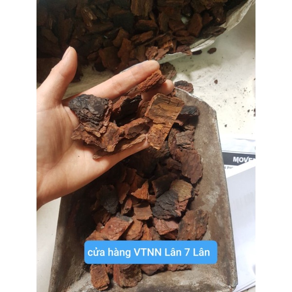 vỏ thông trồng lan size 1*2 (900gr)