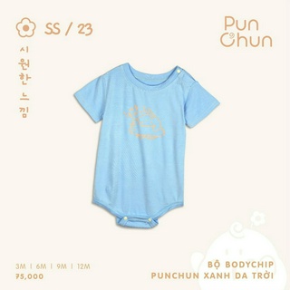 Punchun Bộ body chip SS2023D04