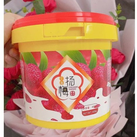 Thanh mai xí muội hộp 408gr