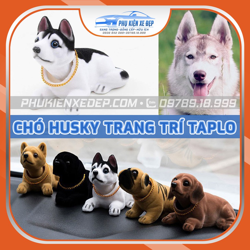 Chó Husky lắc lư trên xe hơi - Trang trí taplo ô tô, chó gật gù trên ô tô