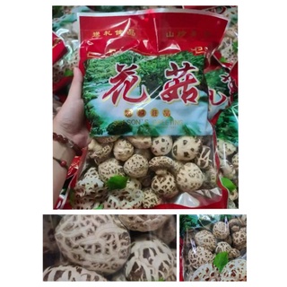 Nấm hoa cô nhật