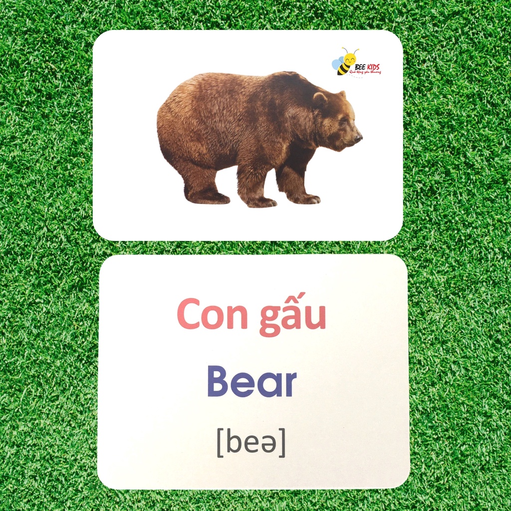 Thẻ Học Thông Minh Flashcards Chủ Đề Động Vật Hoang Dã Cho Bé BEEKIDS