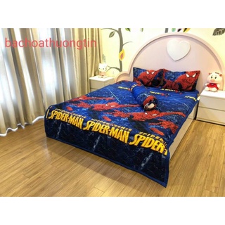 Bộ Ga Gối Cotton Poly  - Người Nhện