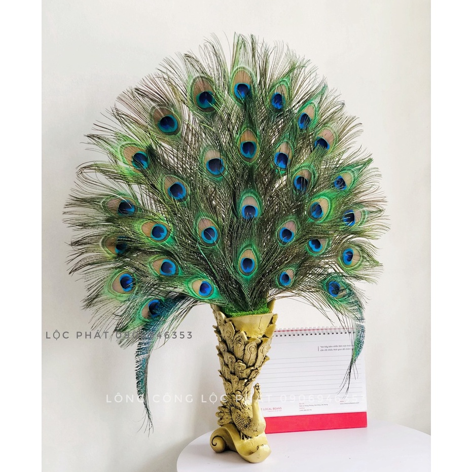 Bình lông công phong thuỷ chất liệu composite Lộc phát cao 28cm