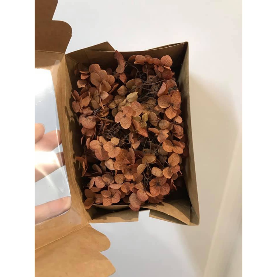 Hoa tú cầu khô về nhiều màu giá chỉ 90k