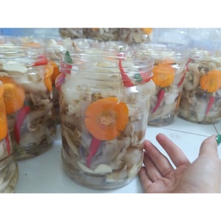 LỖ TAI HEO NGÂM GIẤM