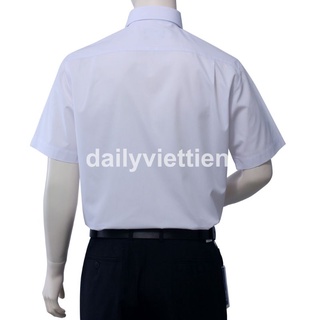 Áo việt tiến ngắn tay lai bầu, Phom Regular Dáng xuông
