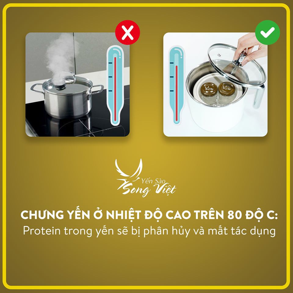 Yến Sào Song Việt - Yến chưng tươi  gói 7 ngày