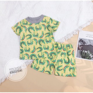Bộ đồ bé trai 6-17kg