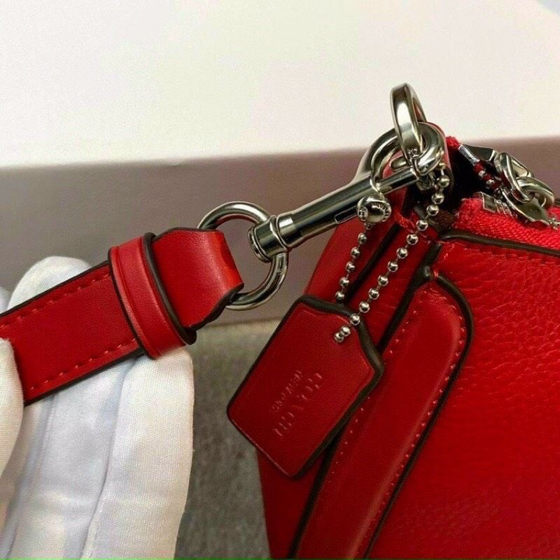 Túi coach cực sang