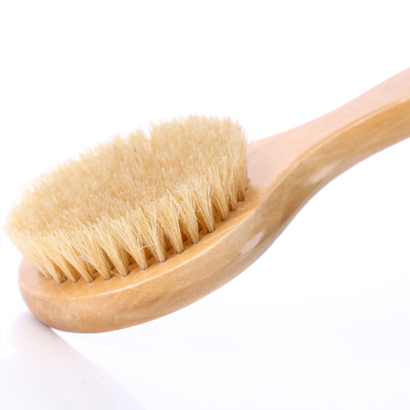 Bàn Chải Chà Lưng Cán Gỗ Tự Nhiên ☆Gyxcadia
