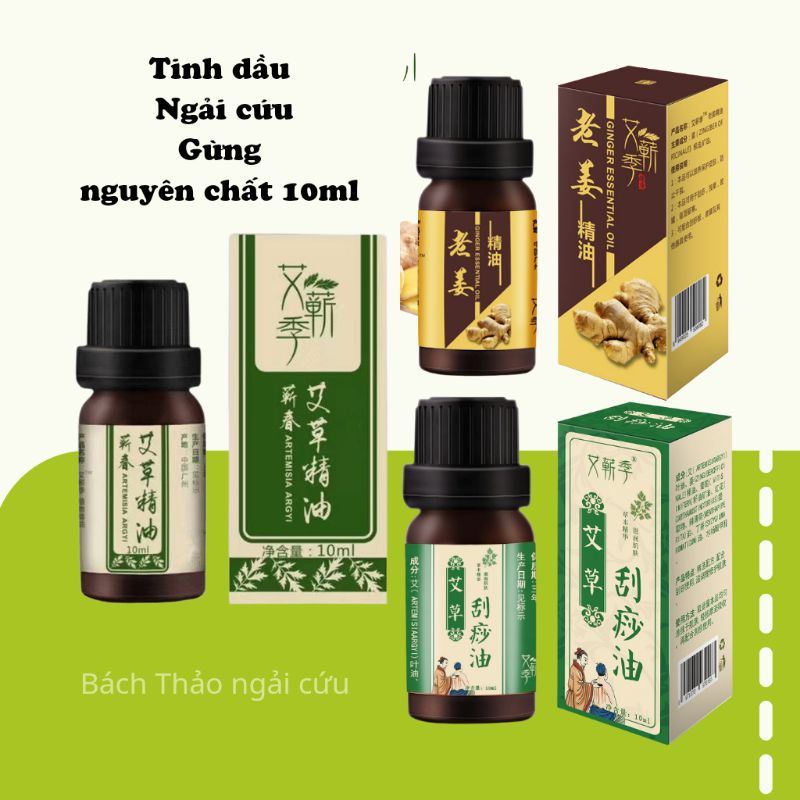 Tinh dầu massage ngải cứu, gừng dùng spa, xông hơi, xoa bóp