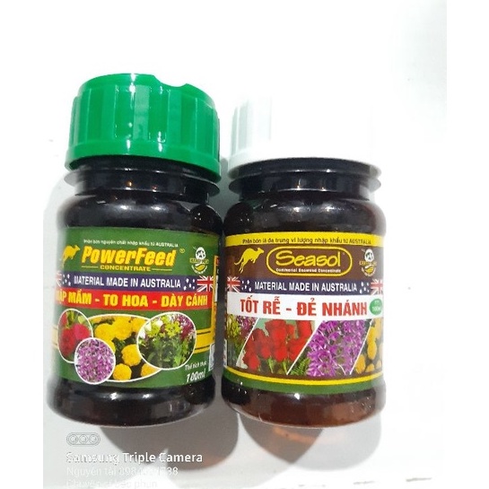 Combo Phân bón hữu cơ đạm cá Powerfeed + Seasol 100ml