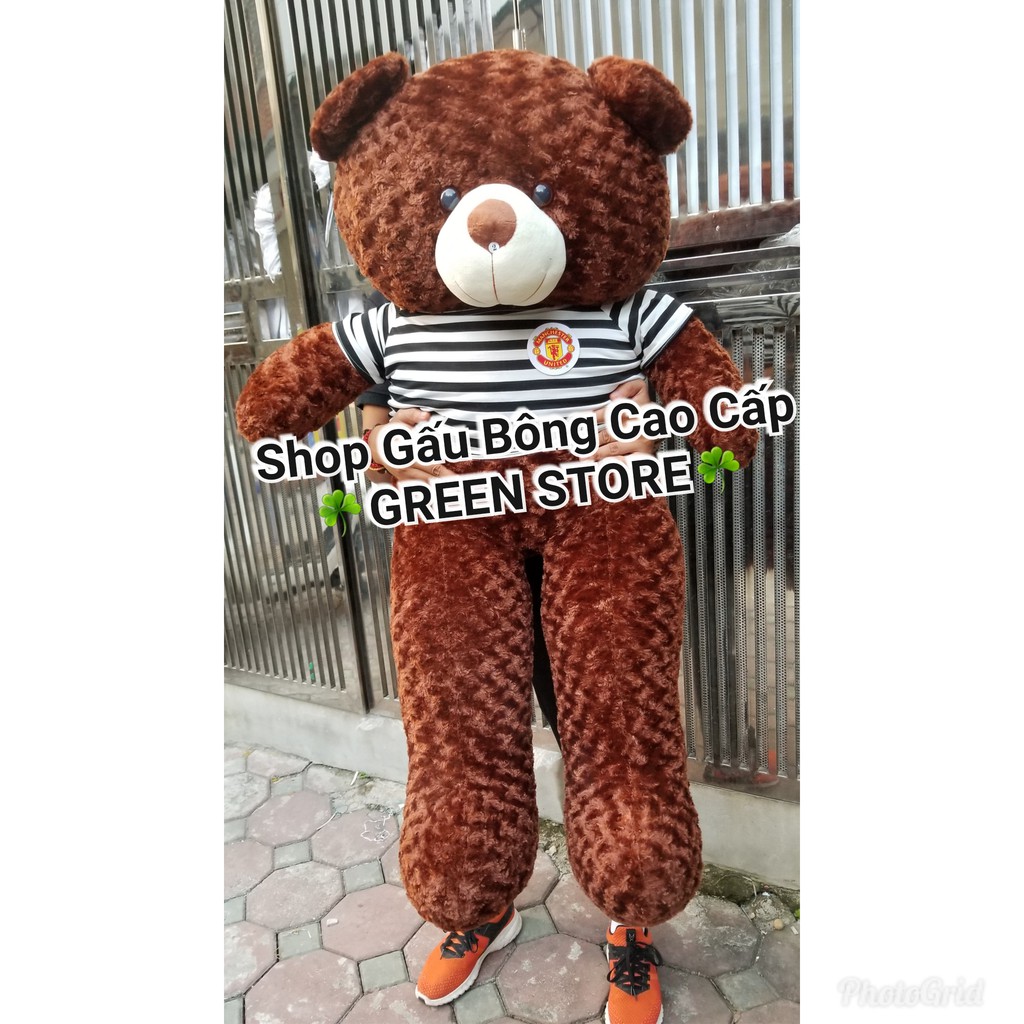 1M4 khổ, Gấu Bông teddy 1m4 khổ cao 1M2 Rẻ Vô Địch