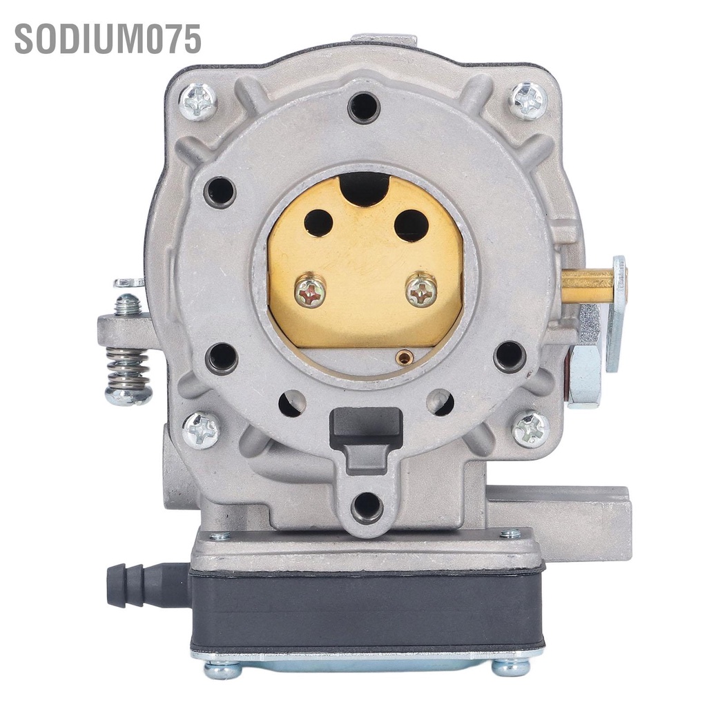 Sodium075 Bộ chế hòa khí nhôm Phụ kiện máy phát điện động cơ xăng Thay thế cho bộ 495181