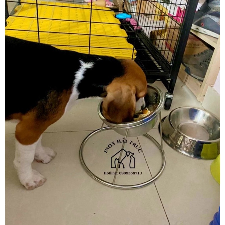 TÔ CHÉN INOX CHO CHÓ MÈO - BÁT ĂN TREO CHUỒNG - CHÉN TREO LỒNG - CHÂN ĐẾ CHỐNG ĐỔ TÔ INOX