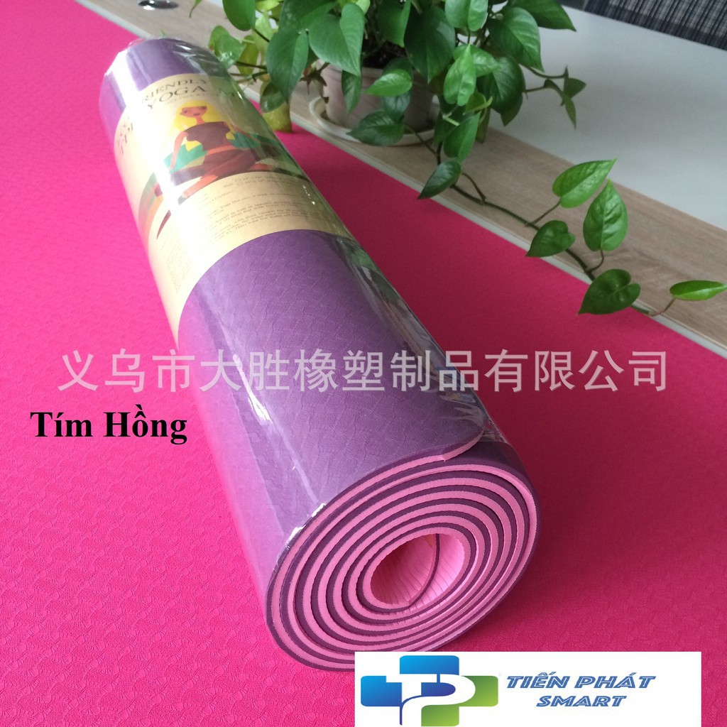 Thảm Yoga tặng kèm túi lưới TPE 2 lớp 6mm