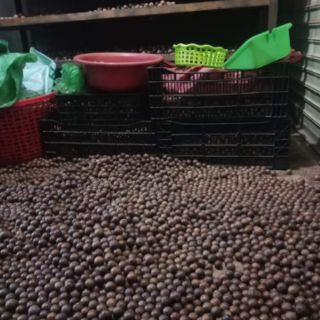 Combo c duyên