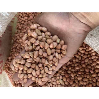 Đậu phộng quế (sống) 1kg loại 1