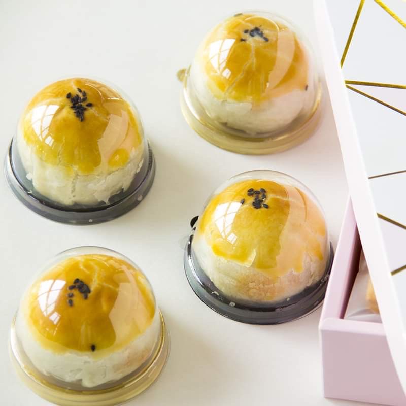 Hộp nhựa nắp cầu đựng bánh Trung Thu 50g