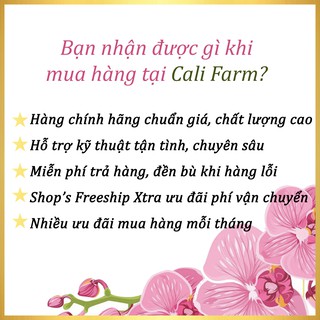Chậu trồng lan F20
