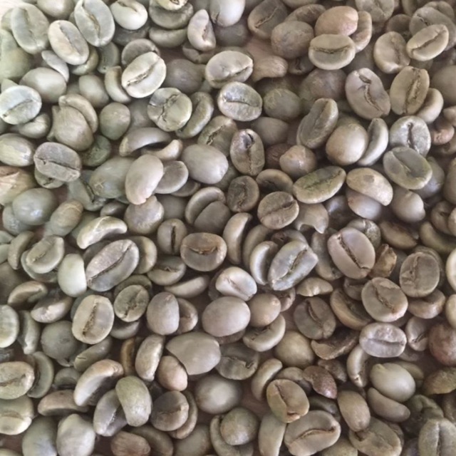 Combo 5kg Cafe nhân sống Robusta cội 7,1 li