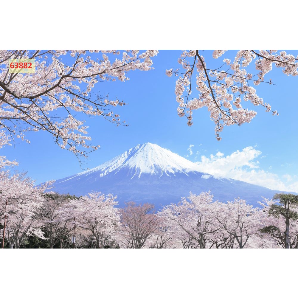 Tranh dán tường phòng khách thiên nhiên nổi tiếng, đẹp nhất như núi Phú Sĩ, nhà hát con Sò, tháp nghiêng, cánh đồng lúa