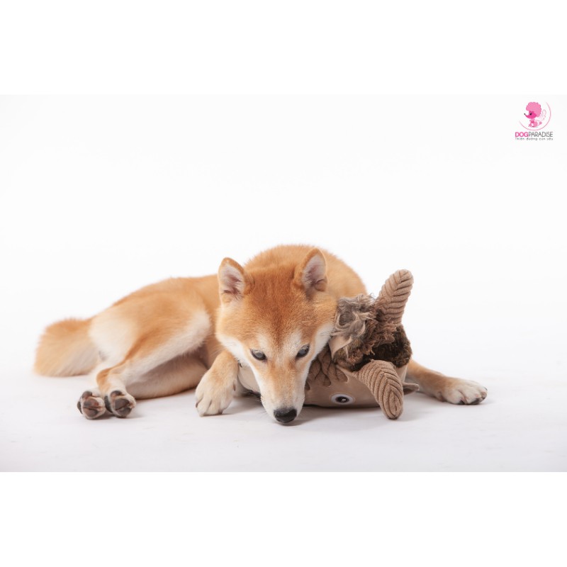 Đồ chơi cho chó Touch Dog nhồi bông hình đầu ngựa vui nhộn chất liệu bông cao cấp 20x22x15cm - Dog Paradise