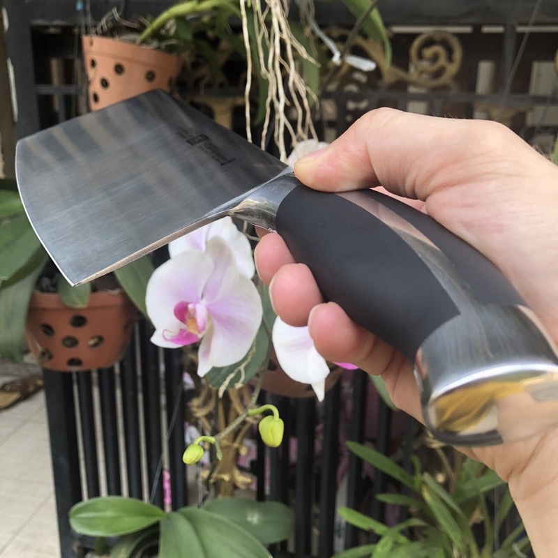 Dao Chuyên Chặt Xương Gà/ Vịt, Thực Phẩm Cứng Nhập Khẩu Chính Hãng Đức Hiệu Zwilling  Chất Liệu Thép Không Gỉ